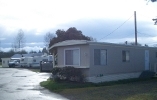 Mobile Home